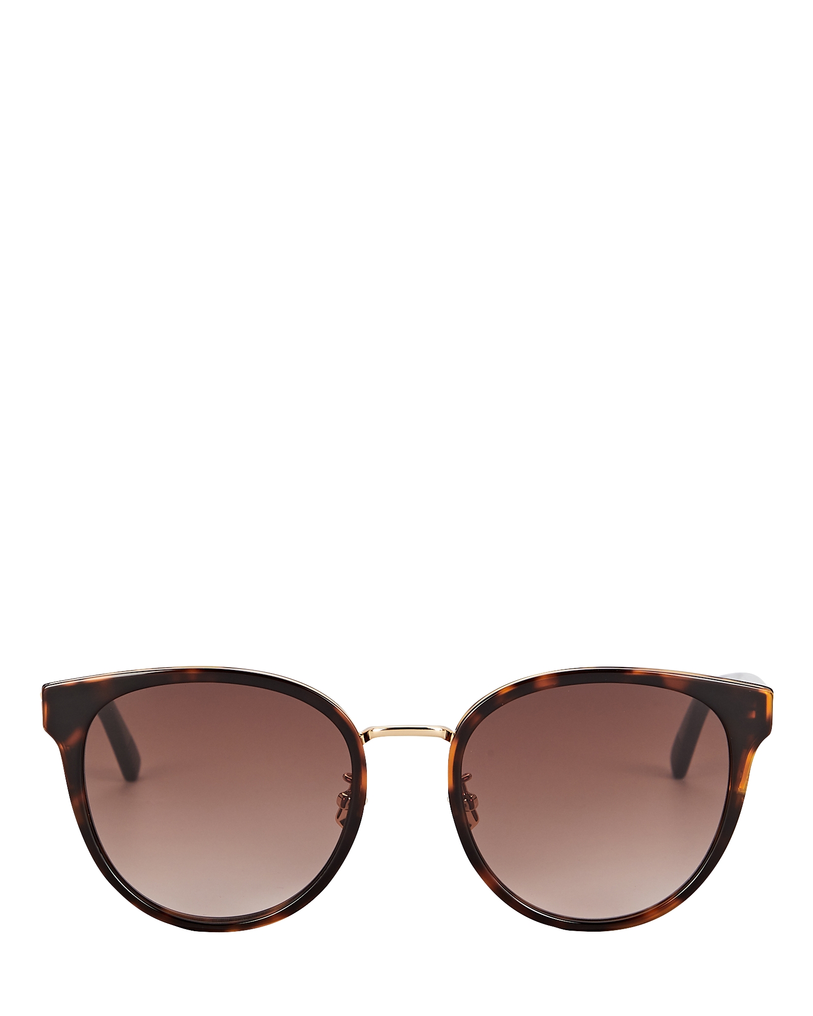 Bottega Veneta Oversized Rounded Sunglasses | INTERMIX®
